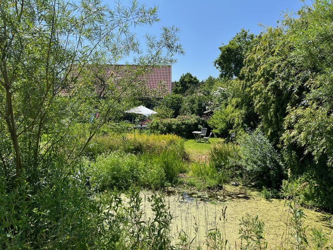 Ferienwohnung in Steffenshagen - FeWo mit Klavier - Bild 14