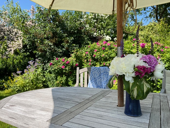 Ferienwohnung in Steffenshagen - FeWo mit Klavier - Bild 15