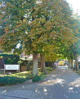 Ferienwohnung in Grömitz - Deichkrone - Eingang durch die Allee zum Haus Ferienwohnung in Grömitz - Deichkrone - Eingang durch die Allee zum Haus