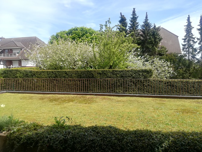 Ferienwohnung in Grömitz - Deichkrone - Blick von der Terrasse Ferienwohnung in Grömitz - Deichkrone - Blick von der Terrasse