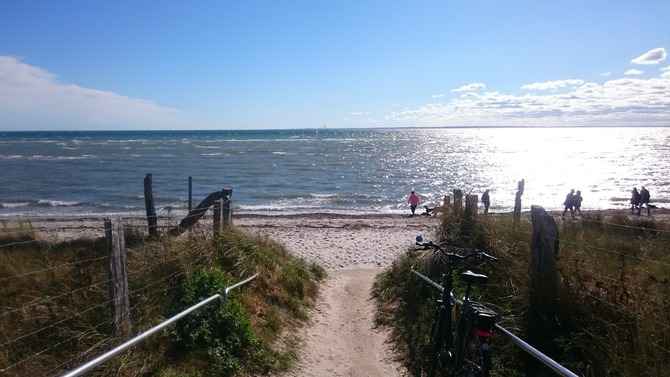 Bungalow in Lensterstrand - Schenk - Pfad zum Meer