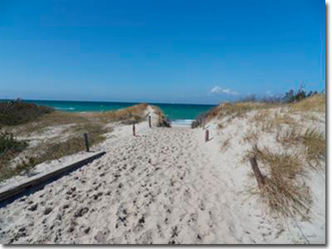 Ferienwohnung in Zingst - Klassik - Bild 11 Ferienwohnung in Zingst - Klassik - Bild 11