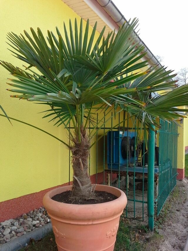 Ferienwohnung in &Uuml;ckeritz - FeWo 3 - Bild 7