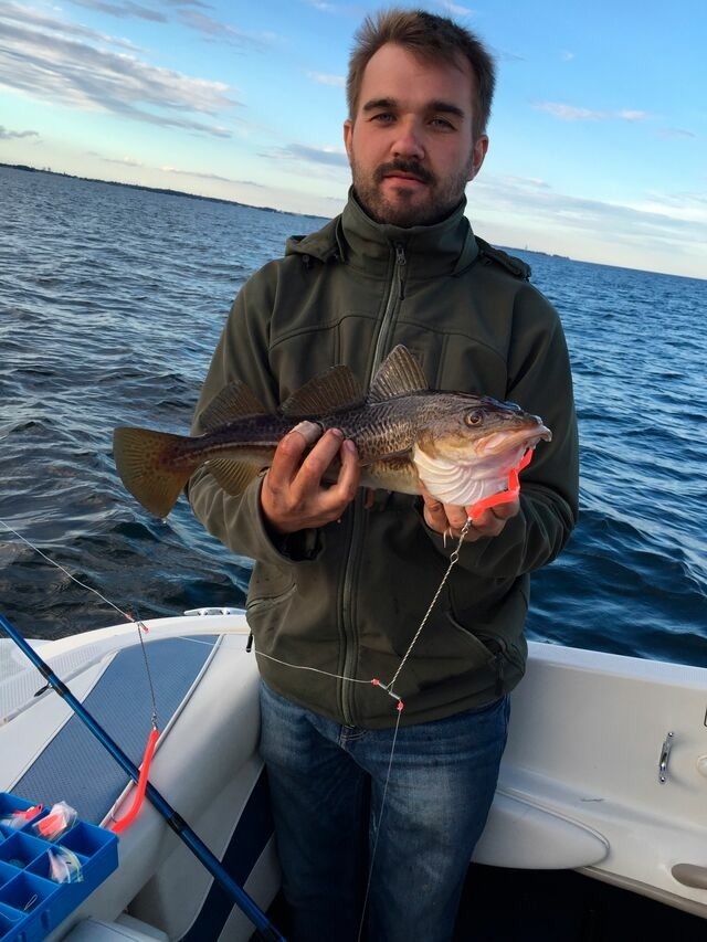 Ferienwohnung in Haffkrug - Wohnung Nr. 2 - Bild 14