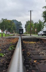 Ferienwohnung in Binz - "Villa M&ouml;nchgut", Ferienwohnung Kr&uuml;ck/Fl&ouml;ter - Bild 20