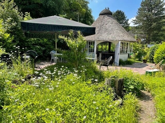 Ferienwohnung in Klingberg - romantische Ferienwohnung Sachsenhof 1 - Bild 4