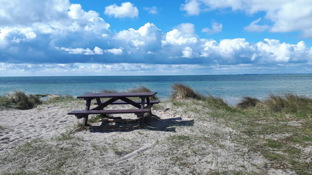 Ferienwohnung in Fehmarn OT Burgtiefe - Ferienwohnung Trumann Nr. 2 "Lachm&ouml;we" - Bild 21