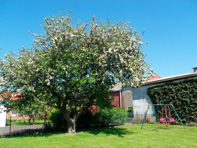 Ferienwohnung in Fehmarn OT Todendorf - Ferienhof Manowski Nr.2 - Bild 16