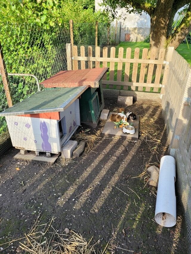 Ferienwohnung in Fehmarn OT Todendorf - Ferienhof Manowski Nr.2 - Bild 21
