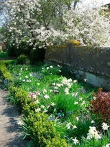 Ferienwohnung in Fehmarn OT Hinrichsdorf - Sonnenblume Nr.1 - Bild 12