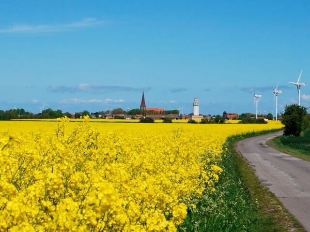 Ferienhaus in Fehmarn OT Gollendorf - Ferienhaus Steen - Bild 16