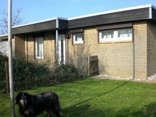 Ferienhaus in Fehmarn OT Marienleuchte - Haus f&uuml;r alle Felle - Bild 3