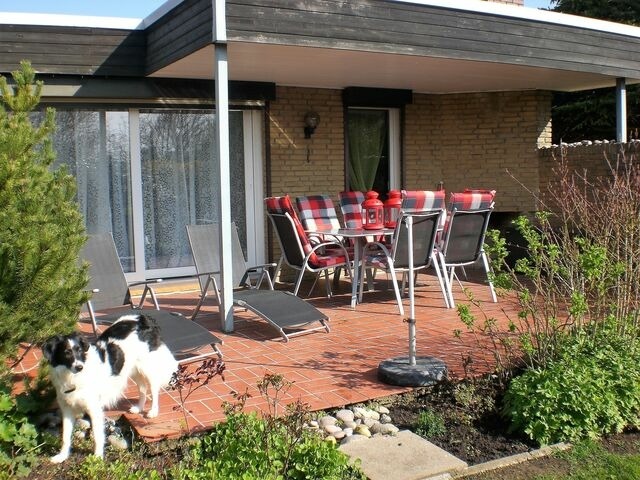 Ferienhaus in Fehmarn OT Marienleuchte - Haus f&uuml;r alle Felle - Bild 5