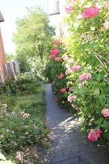 Ferienwohnung in Fehmarn OT Burg - Villa Pura Vida - Bild 19