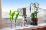 Ferienhaus in Fehmarn OT Klausdorf - "Ferienbauernhof Lafrenz" - Wellness - Ferienhaus Ostk&uuml;ste - Bild 3