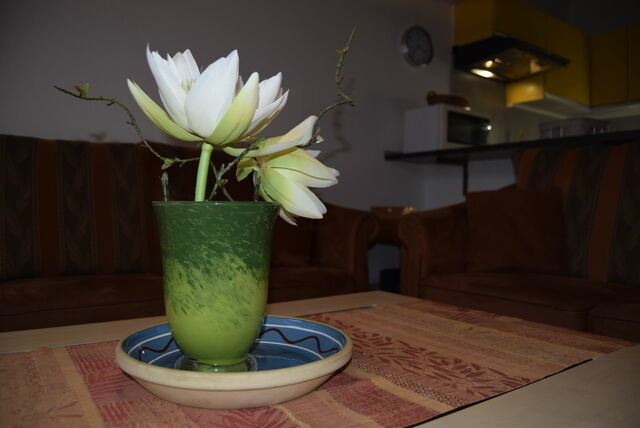Ferienwohnung in Sch&ouml;nberger Strand - Stoltenberg, App. "Der Wikinger" - Bild 5