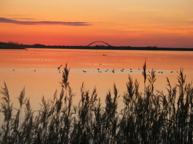 Ferienwohnung in Fehmarn OT Landkirchen - Haus Amy - Wohnung 2 - Bild 24