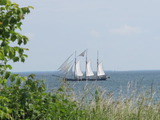 Ferienwohnung in Fehmarn OT Marienleuchte - Ferienwohnung Kath - Bild 1