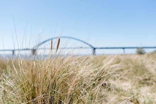Ferienhaus in Fehmarn OT Fehmarnsund - Ferienhaus Br&uuml;ckenblick 12 A - direkt am Meer - Bild 17