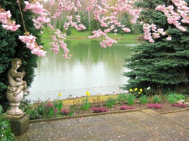 Ferienwohnung in Cismar - Haus am Kojenteich - Whg. 1 - Klosterdorf Cismar - gepflegte Wohnung auf idyllischem Seegrundst&uuml;ck - Bild 12