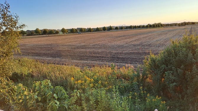 Ferienhaus in K&uuml;hlungsborn - Schlehdornhaus - Blick aus dem Schlafzimmer im Sp&auml;tsommer