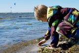 Ferienwohnung in Fehmarn - Knusthof Lafrenz - Süd - Bild 16