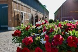 Ferienwohnung in Fehmarn - Knusthof Lafrenz - Süd - Bild 18