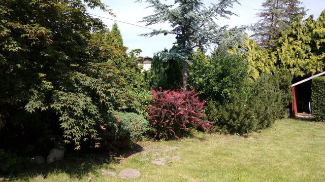 Ferienwohnung in Dierhagen - Ferienwohnung Zaepernick Dachgeschoss - Bild 5 Ferienwohnung in Dierhagen - Ferienwohnung Zaepernick Dachgeschoss - Bild 5