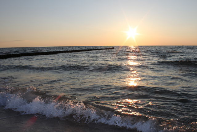 Ferienhaus in Dierhagen - -"Strandhaus Friedrich"- - Bild 18 Ferienhaus in Dierhagen - -"Strandhaus Friedrich"- - Bild 18