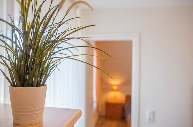 Ferienwohnung in Dahme - Haus Wiwibarg OG - Bild 6