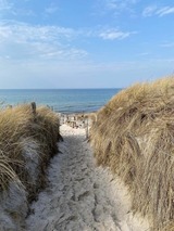 Ferienwohnung in Zingst - Whg. 01 - Koje M - Bild 23