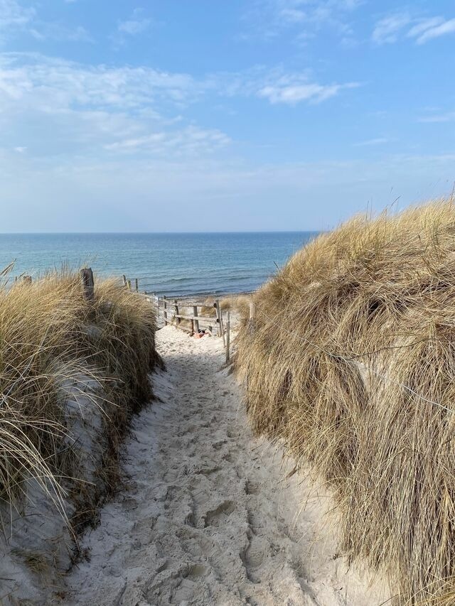 Ferienwohnung in Zingst - Whg. 01 - Koje M - Bild 23