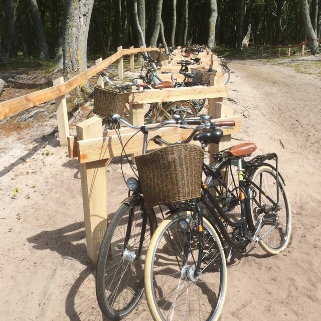 Ferienwohnung in Zingst - Whg. 01 - Koje M - Bild 25