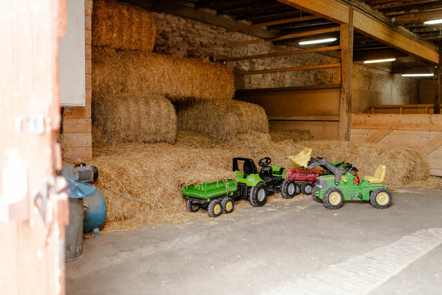 Ferienwohnung in Fehmarn OT Staberdorf - Achter de Höf Whg. 2 - Bild 23