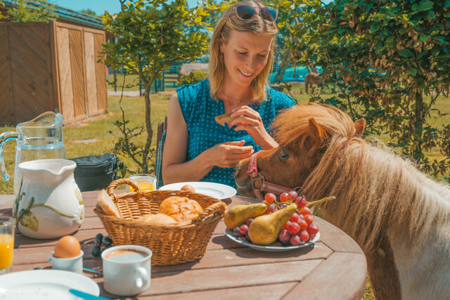 Ferienwohnung in Fehmarn OT Westermarkelsdorf - Marin - Bild 25