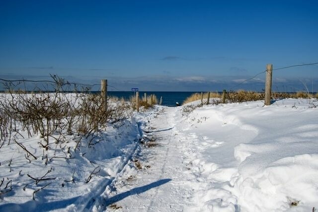 Ferienwohnung in Graal-Müritz - Flieder - Bild 22