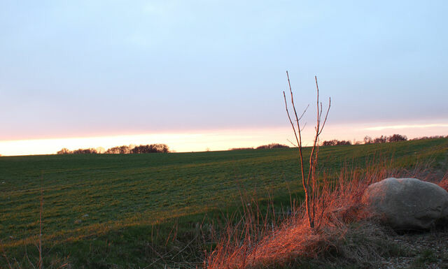 Ferienwohnung in Carinerland - Fewo Kerzenzimmer - M&auml;rchen aus Wachs und Flamme - Bild 12