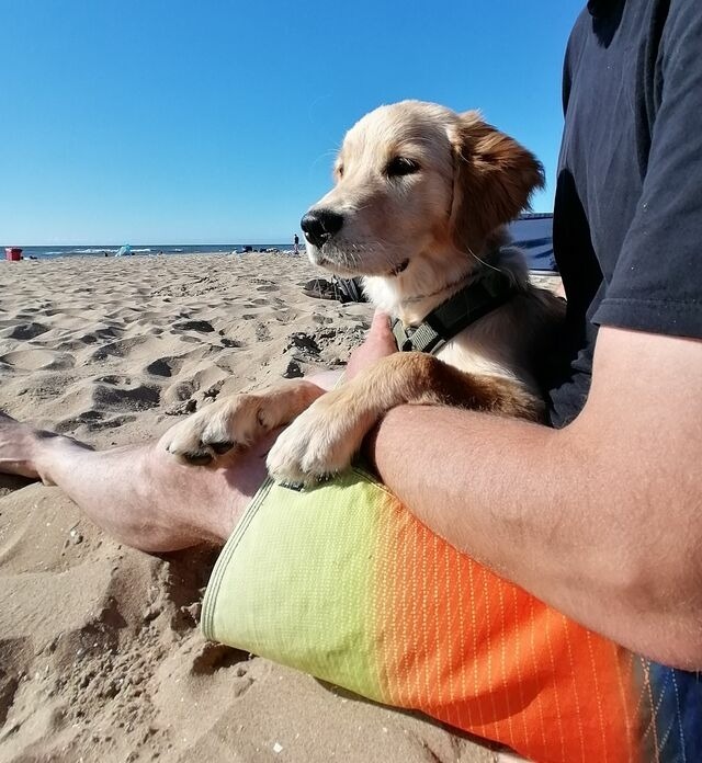 Ferienwohnung in Riepsdorf - Urlaub mit Hund - Sp&auml;tsommer an der Ostsee genie&szlig;en - Bild 10