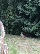 Ferienwohnung in Steinbeck - MP 4 Meerjungfrau - Bild 12