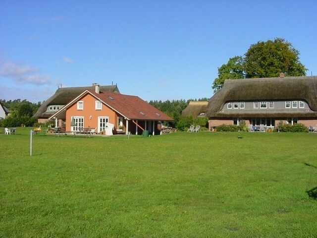 Ferienwohnung in Born a. Darß - Ferienwohnung Nr. 07 (OG + Spitzboden) - Bild 17 Ferienwohnung in Born a. Darß - Ferienwohnung Nr. 07 (OG + Spitzboden) - Bild 17