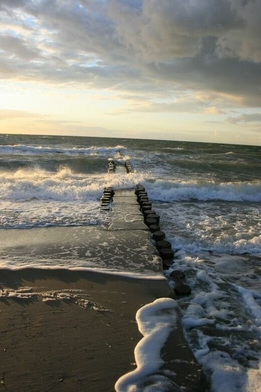 Ferienwohnung in Born a. Darß - Ferienwohnung Nr. 07 (OG + Spitzboden) - Bild 21 Ferienwohnung in Born a. Darß - Ferienwohnung Nr. 07 (OG + Spitzboden) - Bild 21