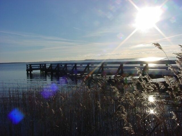 Ferienwohnung in Born a. Darß - Ferienwohnung Nr. 07 (OG + Spitzboden) - Bild 22 Ferienwohnung in Born a. Darß - Ferienwohnung Nr. 07 (OG + Spitzboden) - Bild 22