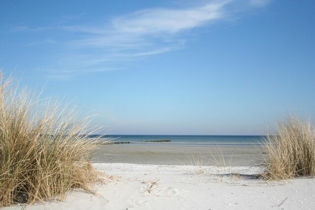 Ferienwohnung in Zingst - Villa Strandblick 1 - Bild 15