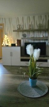 Bungalow in Zinnowitz - Ferienhaus Wiese und Meer - Bild 17