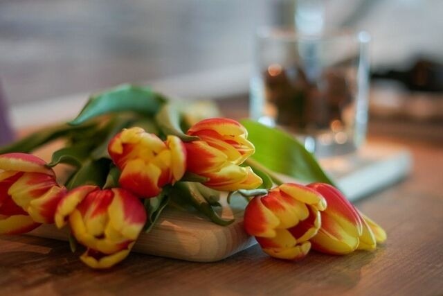 Ferienwohnung in Heiligenhafen - "D&uuml;nenpark Heiligenhafen", Haus "Sandd&uuml;ne", Wohnung 11 "M&ouml;we Emma" - Bild 20