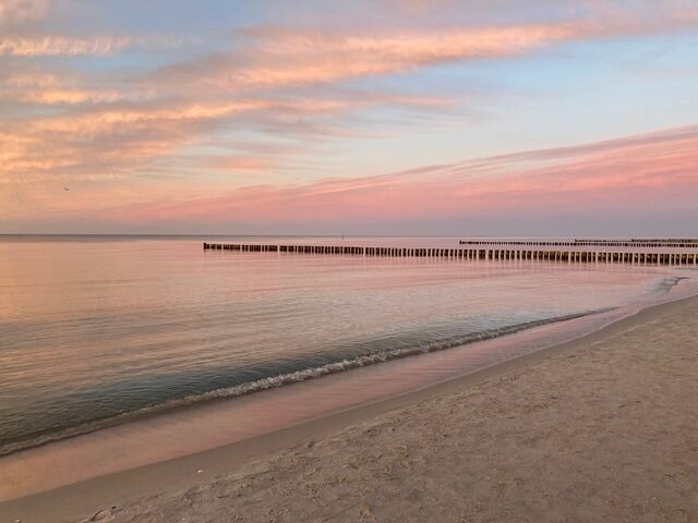 Ferienwohnung in Ostseeheilbad Zingst - Boddenkieker 15 - Bild 22