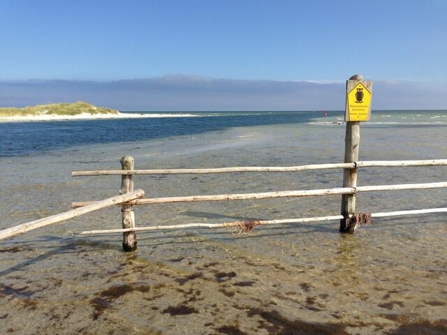 Ferienwohnung in Ostseeheilbad Zingst - Boddenkieker 15 - Bild 17