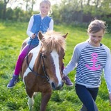 Ferienwohnung in Fehmarn - Ferienhof Marquardt Bungalow 3 - Bild 13