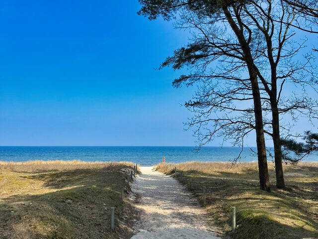 Ferienhaus in Baabe - Villa H&uuml;gel - Baabe - Bild 19