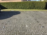 Ferienwohnung in Gr&ouml;mitz - Rollmops - Bild 15